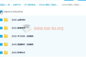 2022计算机二级MS Office全程班视频教程 真题解析与考点精讲