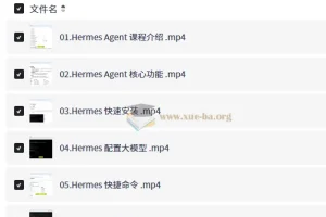 Hermes Agent智能体全维度实战课程 从部署到企业级应用