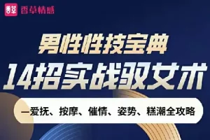 男性性技宝典视频课：14招实战驭女术完整攻略