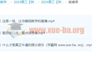 2024高三高考数学 树成林数学 一轮复习全程课