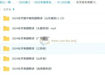 高中化学 2025高三高考化学 政哥李政 高考真题12小时精讲班