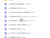 杨荷 2025-2026 初二语文 S冲顶 秋下课程资源