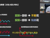 拼多多运营实战课：从入门到爆单12讲