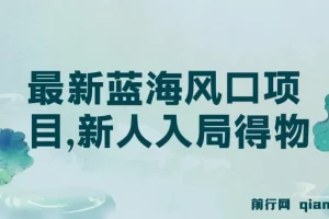 得物蓝海风口项目实操课，新人每天两小时，单账号月变现破万