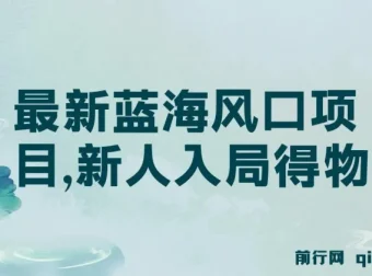得物蓝海风口项目实操课，新人每天两小时，单账号月变现破万
