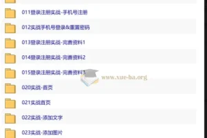 30天手把手教你做一个APP：从登录注册到上线运营全流程实战