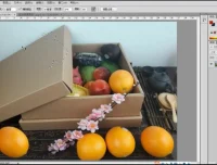 淘宝美工零基础速成：PS工具全解析