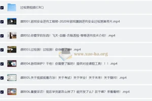 游戏安全逆向工程师入门到精通 网易云微专业全系列课程