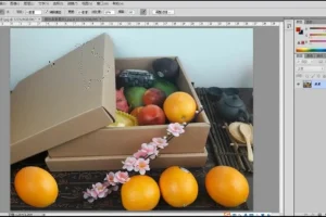 淘宝美工零基础速成：PS工具全解析