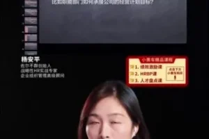 战略绩效与薪酬激励体系设计实操课 杨平安HR实战全解析