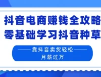 抖音电商赚钱全攻略：零基础学抖音种草与直播卖货实战课