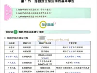 2027一生儿高中生物一本通必修一 教材回归+习题答案全套