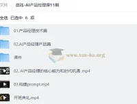 高玮 AI产品经理课11期：从大模型原理到智能体实战全链路