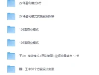 王冲-27种盈利模式课程合集：商业模式案例与方案实录