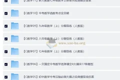 初中数学精品资料合集 中考复习专题突破与同步练习