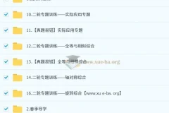 2025魏爽初三数学中考培训班 春上·苏科版·A+ 讲义视频全收录