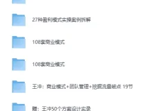 王冲-27种盈利模式课程合集：商业模式案例与方案实录