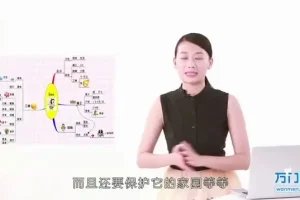 世界记忆大师课程：快速提升记忆力的系统训练指南