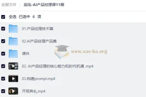 高玮 AI产品经理课11期：从大模型原理到智能体实战全链路