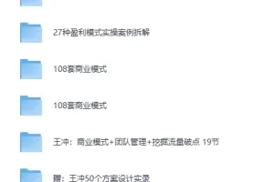 王冲-27种盈利模式课程合集：商业模式案例与方案实录