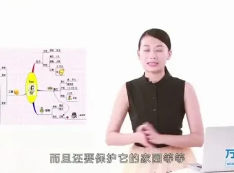 世界记忆大师课程：快速提升记忆力的系统训练指南