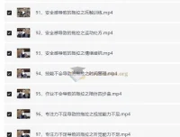 付峰老师家庭教育课程 学霸养成计划 全套视频讲解
