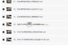 付峰老师家庭教育课程 学霸养成计划 全套视频讲解