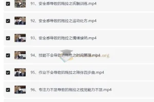 付峰老师家庭教育课程 学霸养成计划 全套视频讲解