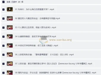 杜素娟西方文学课：20讲读懂欧美经典名著