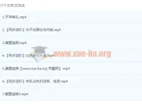 2023初中物理初三秋季班 叶诗婷同步进阶课程