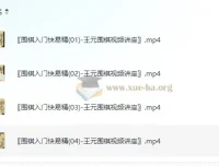 围棋入门快易精-王元围棋视频讲座