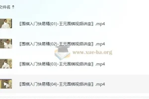 围棋入门快易精-王元围棋视频讲座