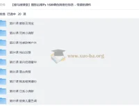 蜂鸟微课堂摄影后期Ps教程 16种调色风格实战 含源码课件