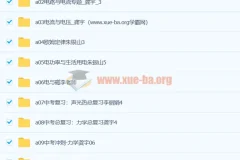 初中物理初三物理视频教程 12章合集 中考冲刺复习