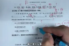 语文五哥亲授：文学素养批注与语文能力提升全攻略