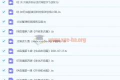 从0到1搞定即兴演讲特训营 完结课程 告别紧张即兴表达