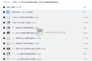 2026一人公司Codex智能体实战课：AI工作流搭建与商业自动化落地