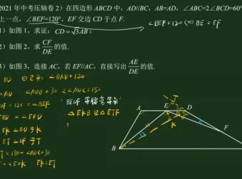 王若钊初中数学相似专题精讲视频课程