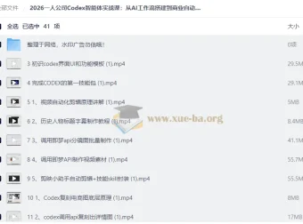 2026一人公司Codex智能体实战课：AI工作流搭建与商业自动化落地