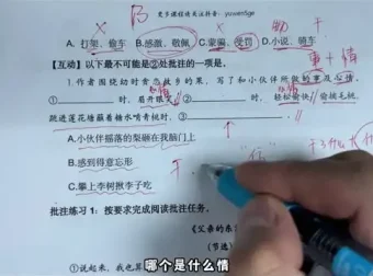 语文五哥亲授：文学素养批注与语文能力提升全攻略