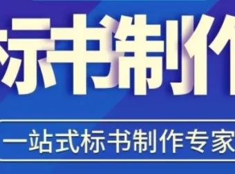 零基础学做标书：新手标书制作必修95节课全流程实操