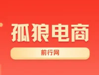 孤狼电商VIP教程：店群基础到4.0团队化全阶段实战课
