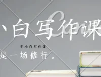 毛小白写作课：从入门到变现的系统写作实战指南