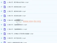 李政化学 有机化学与无机化学 强效逆袭班