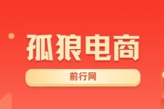 孤狼电商VIP教程：店群基础到4.0团队化全阶段实战课