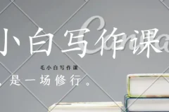毛小白写作课：从入门到变现的系统写作实战指南