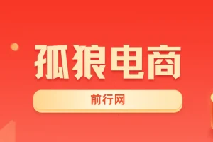 孤狼电商VIP教程：店群基础到4.0团队化全阶段实战课