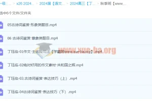 2024高三高考语文 丁珏临语文秋季班 课程资源