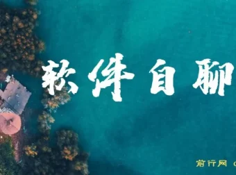 软件自聊赚钱项目实操教程，无幸存者偏差，每天稳定500+