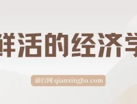 鲜活的经济学 epub 电子书下载